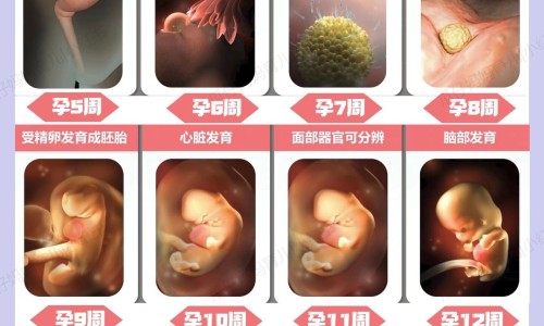 怀牛膝价钱-中药怀牛膝的价格网-分享怀牛膝价钱，怀牛膝的药效知识库