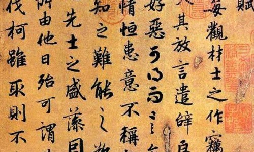 怀牛膝中医世家中药材-中药怀牛膝的价格网-分享怀牛膝价钱，怀牛膝的药效知识库